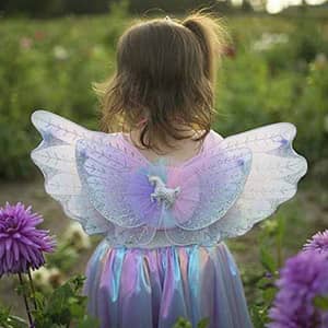 animation-theme-feerique-toulouse Illustration pour le thème féérique