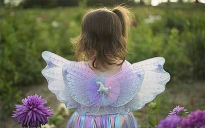 Image du thème des fées