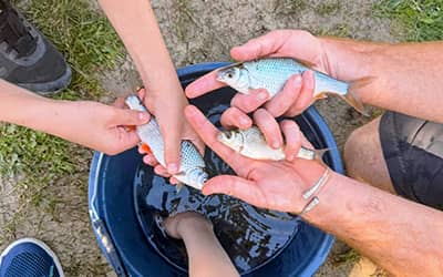 Les enfants qui ont attrapé des poissons